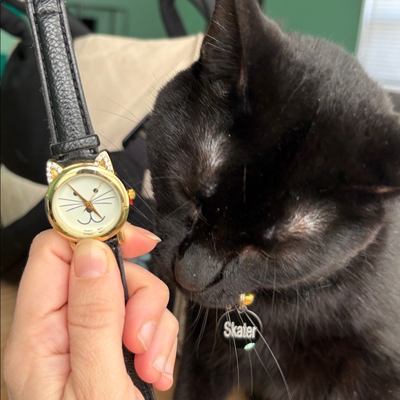 Cat watch - Picture 2 of 4